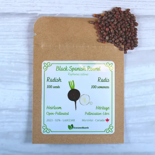 Black Spanish Round Radish Seeds