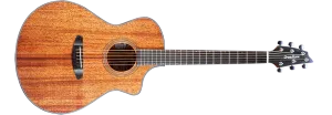 Breedlove Organic Wildwood Concert Satin CE Acoustic