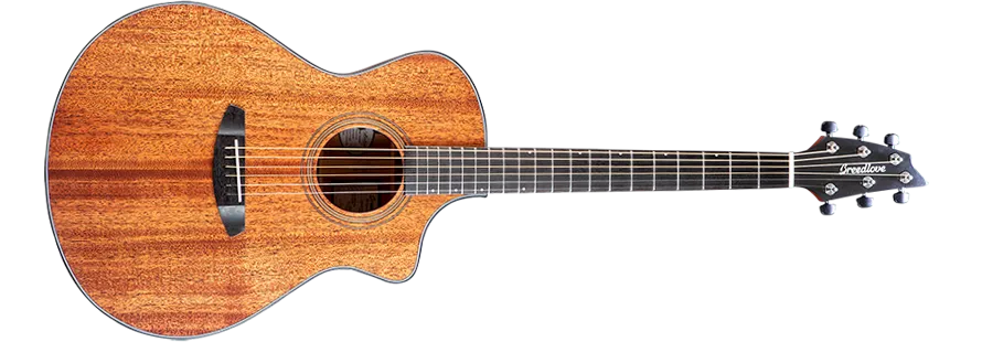 Breedlove Organic Wildwood Concert Satin CE Acoustic