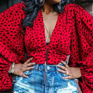 Charisse  - Full Sleeve V Neck Leopard Print Top