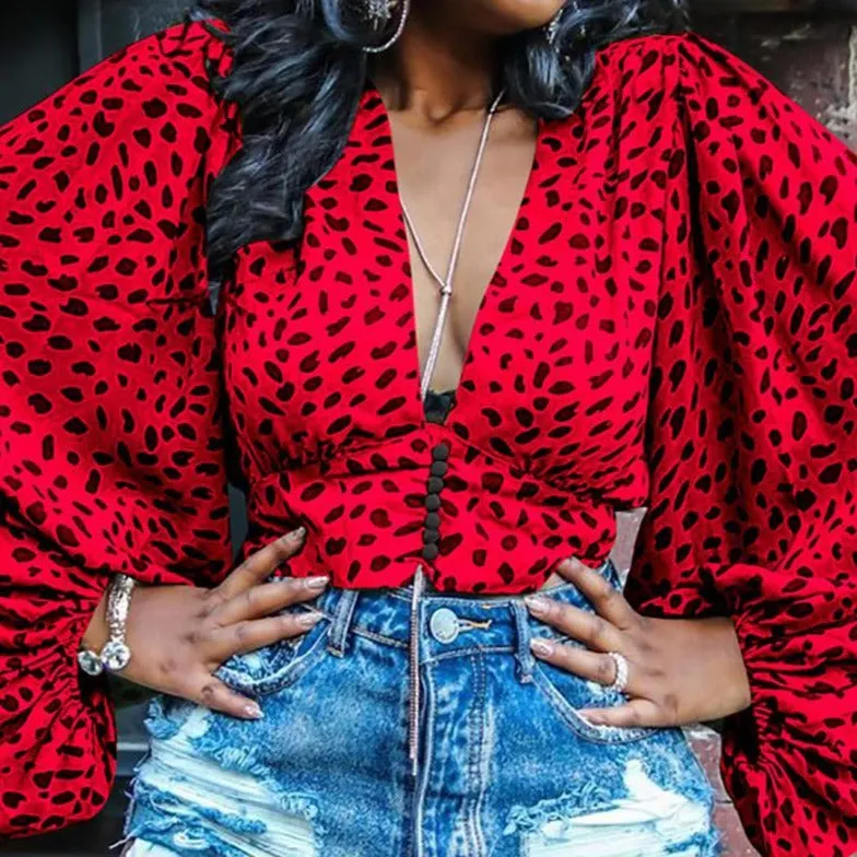 Charisse  - Full Sleeve V Neck Leopard Print Top