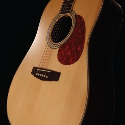 Cort Earth 100F NSm