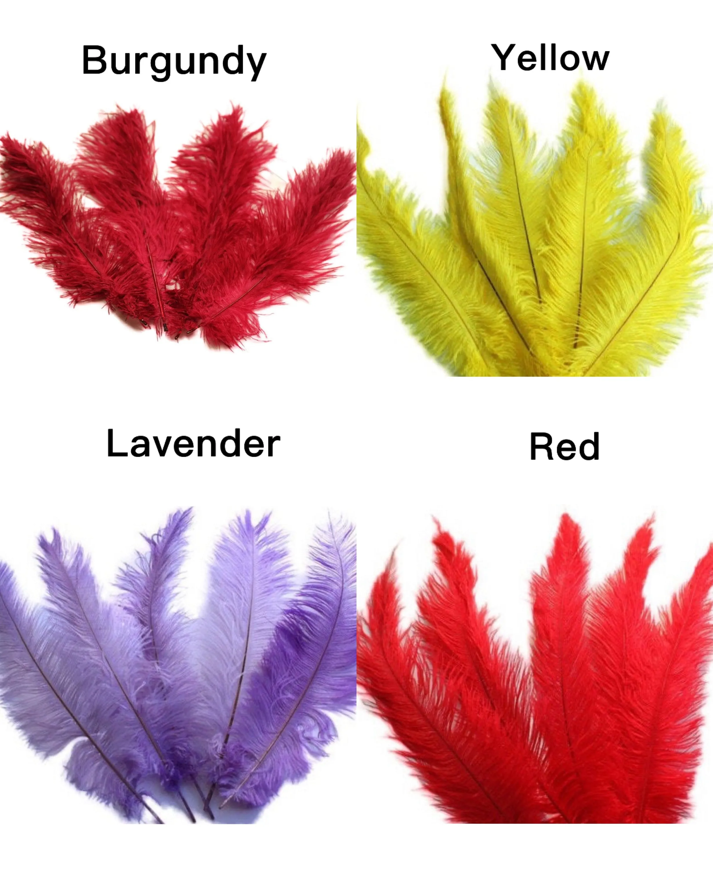Feather Corset Tutu Dress