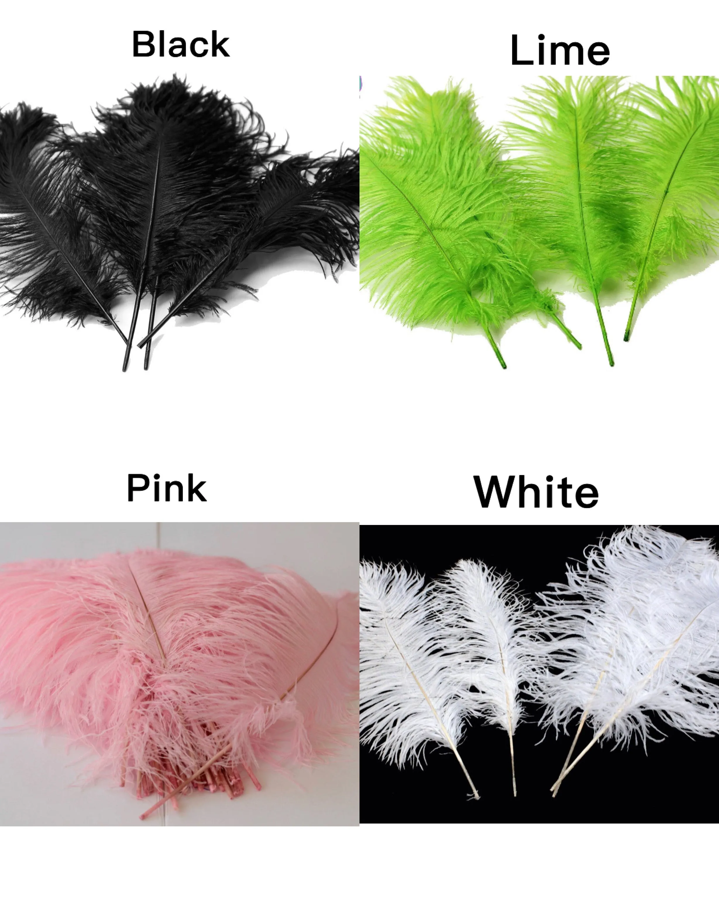 Feather Corset Tutu Dress