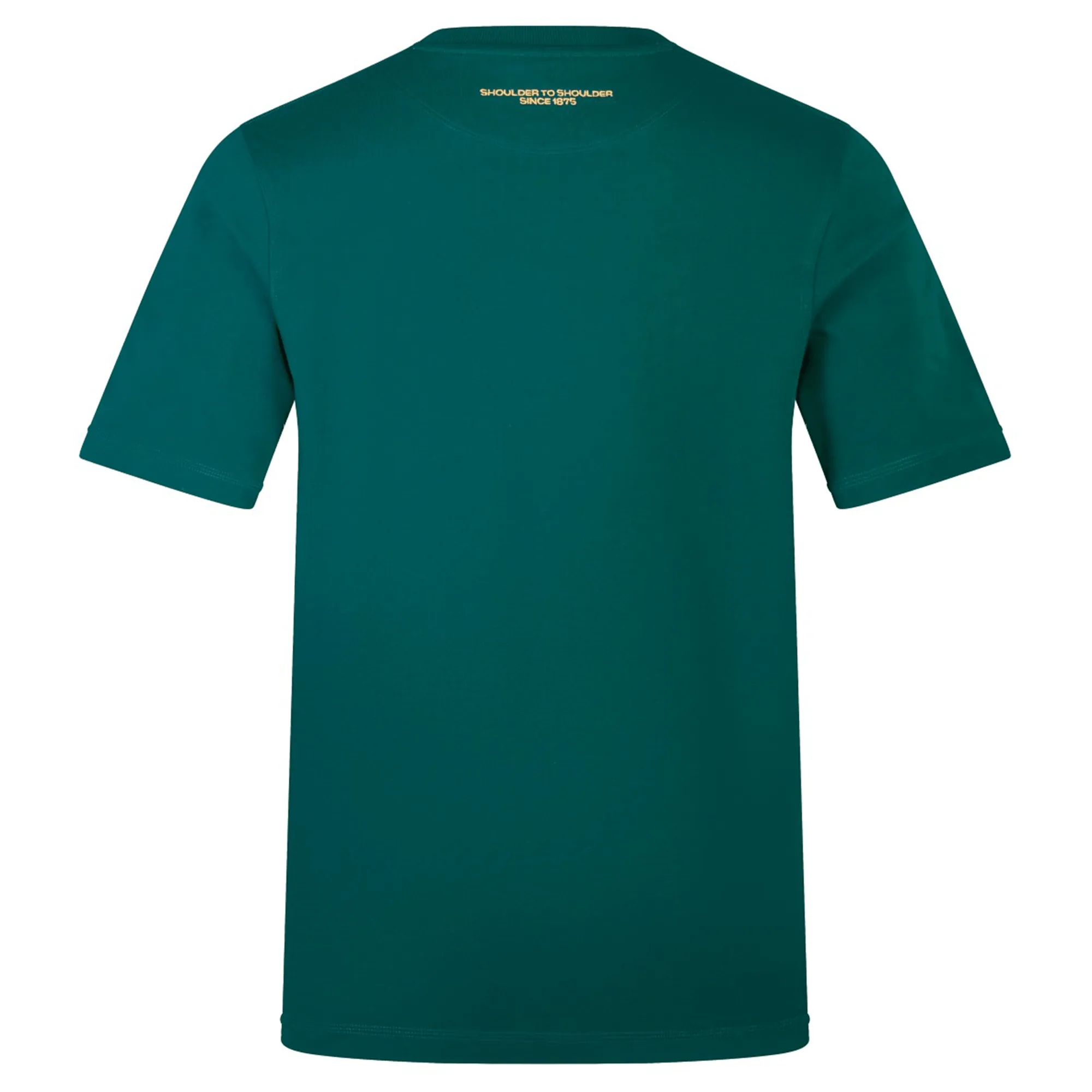 Ireland 150th Anniversary Oversized T-Shirt by Canterbury