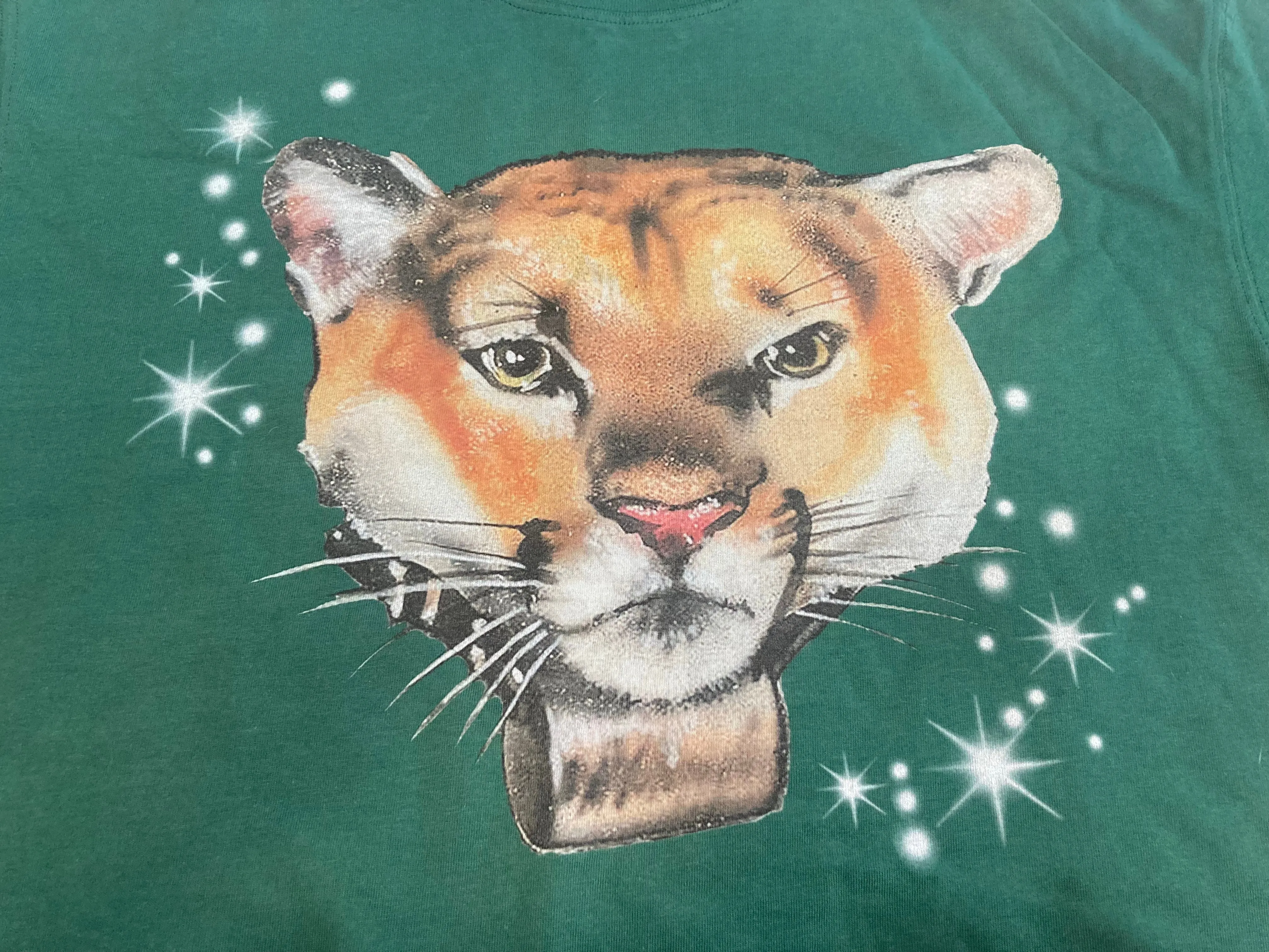 P-22 T-Shirt by Guava LA