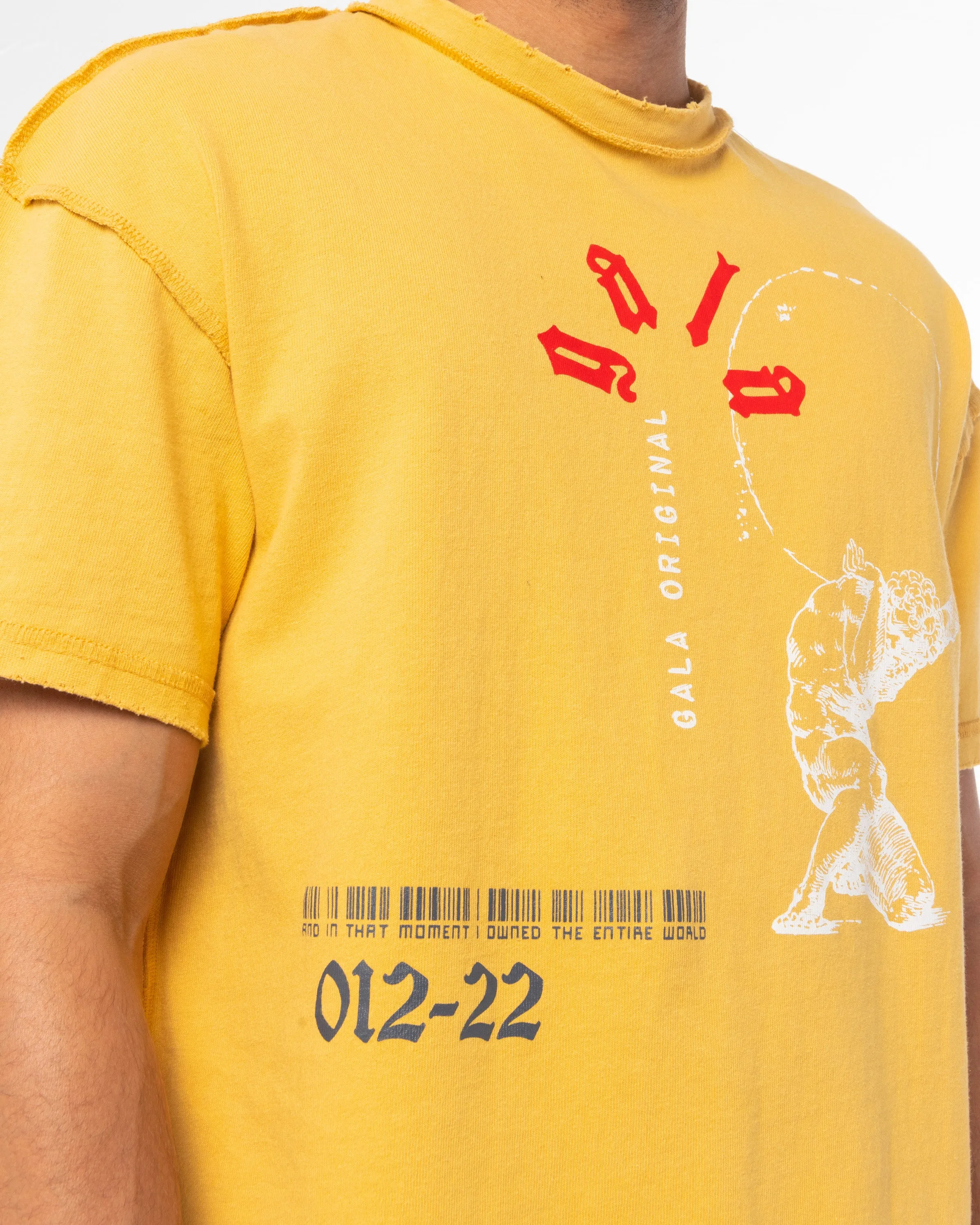 RESISTANCE TEE (HONEY)