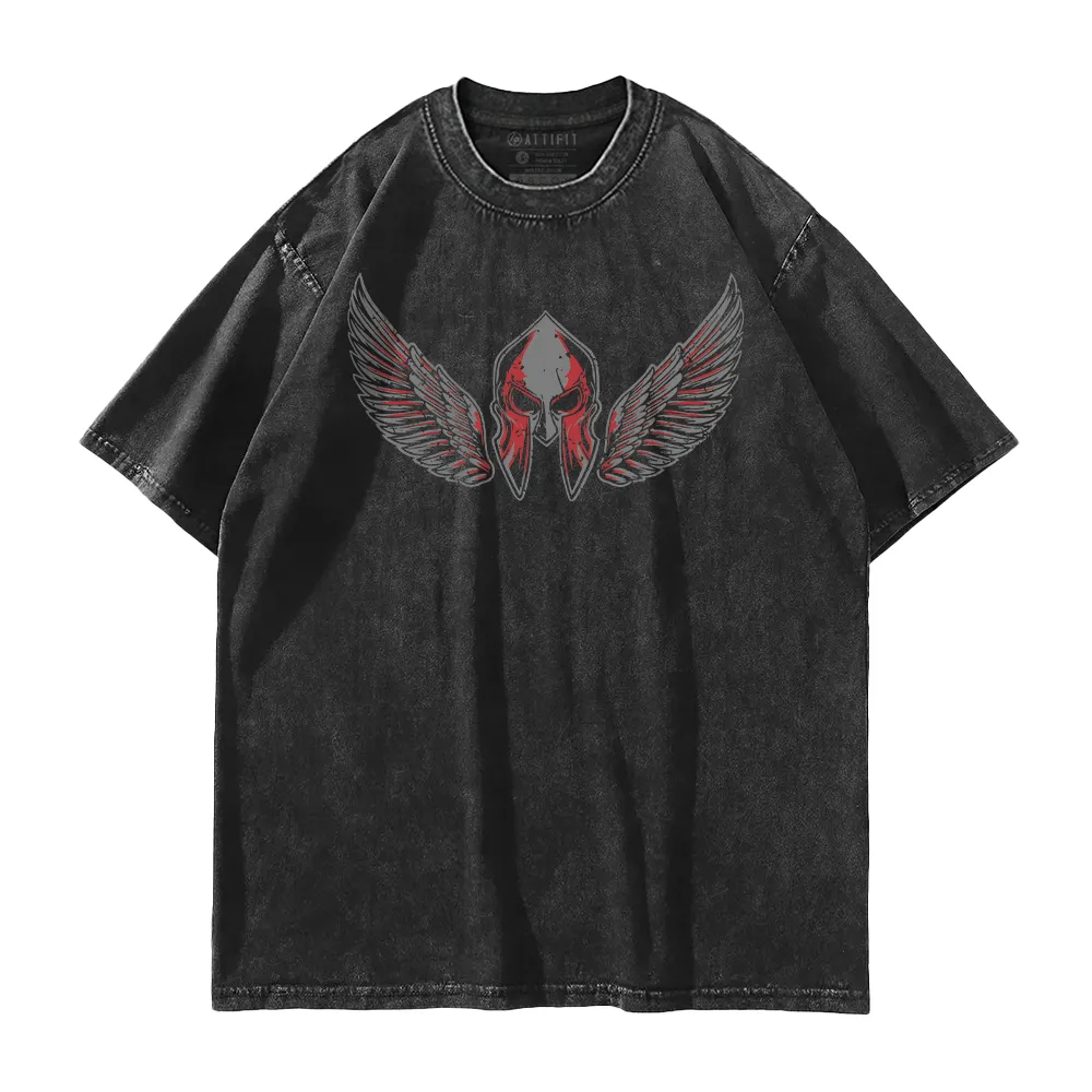 Spartan Wings Washed T-Shirt