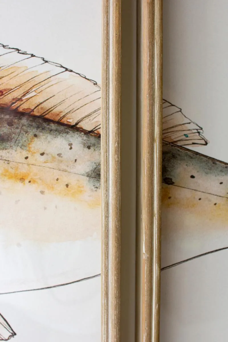 Triptych Trout Print under Glass